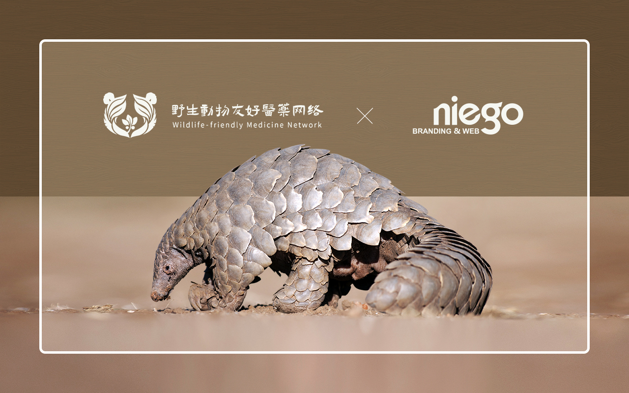 公益網站設計,藥企網站設計